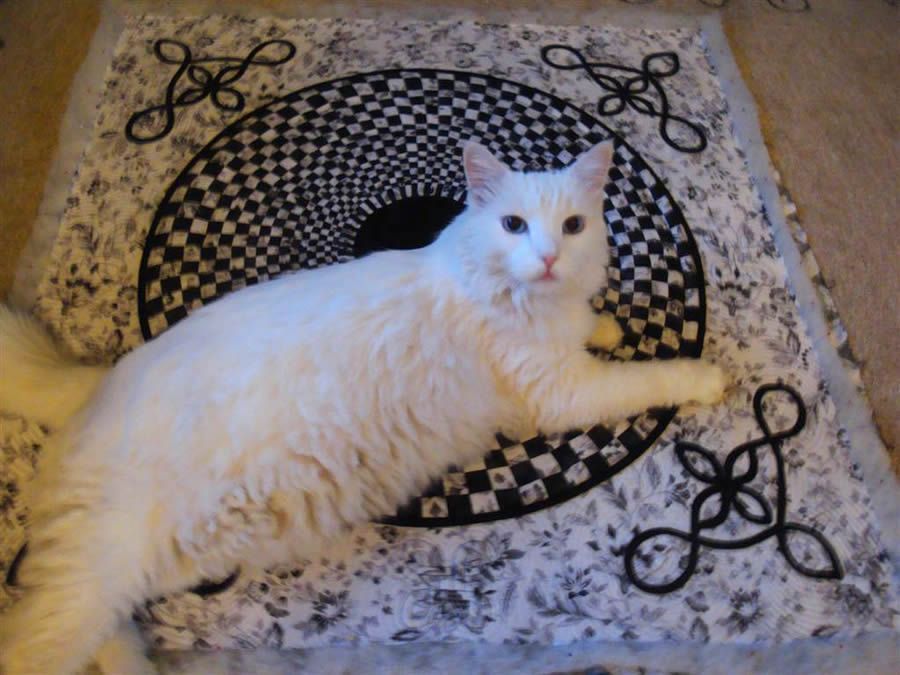 white cat laying on top of quilt